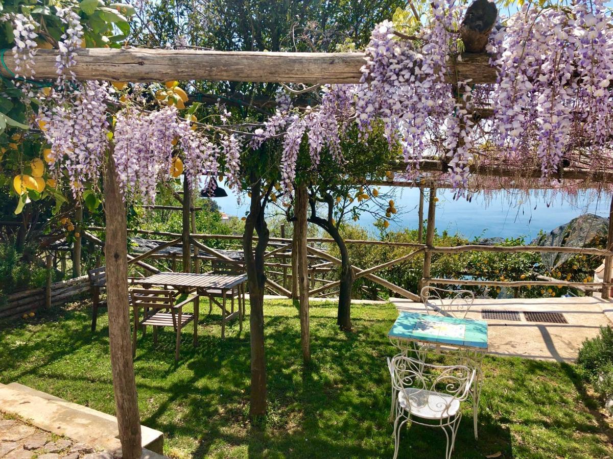 Bed and Breakfast Casa Flora В'єтрі Екстер'єр фото