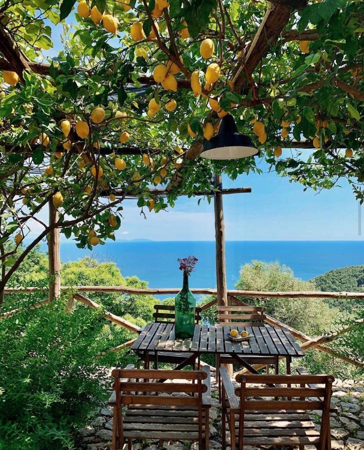 Bed and Breakfast Casa Flora В'єтрі Екстер'єр фото