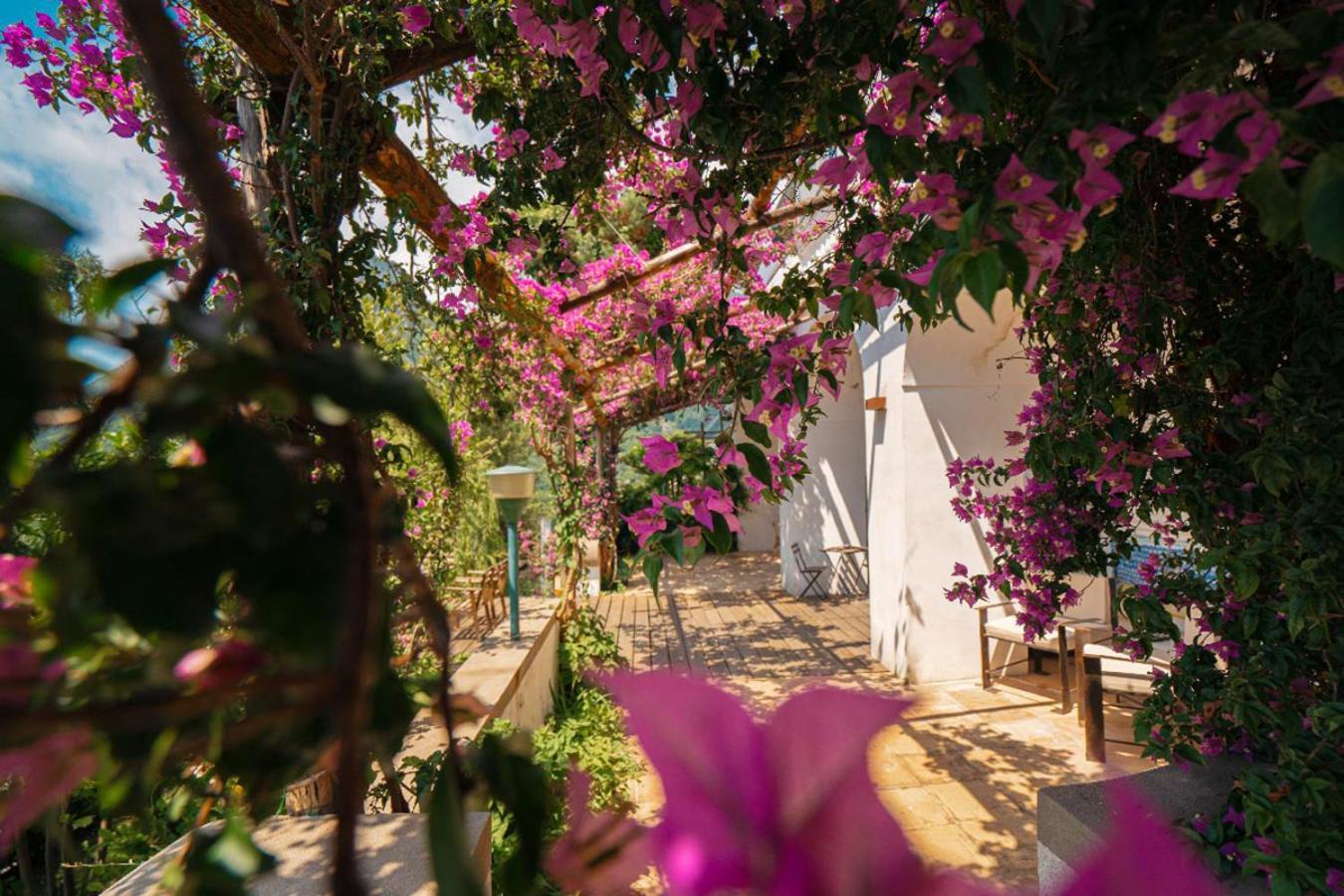 Bed and Breakfast Casa Flora В'єтрі Екстер'єр фото