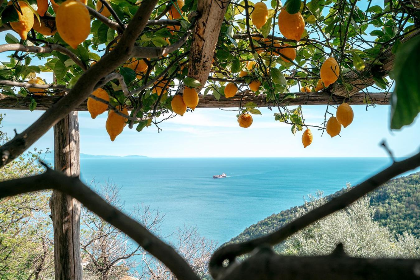 Bed and Breakfast Casa Flora В'єтрі Екстер'єр фото